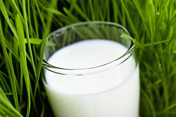 Rauwe melk helpt beschermen tegen allergieën