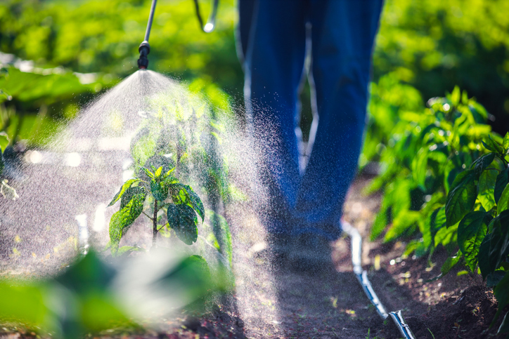 RIVM wil strengere eisen voor pesticiden